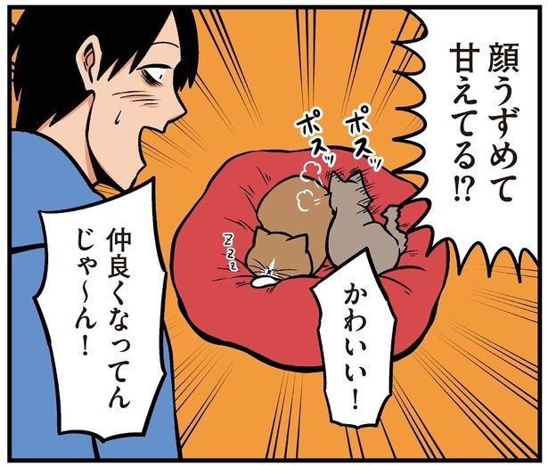 かわいい！ （C）鴻池剛／KADOKAWA