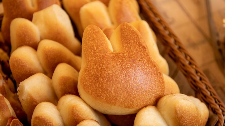 写真家のsigh氏（＠sigh21）撮影