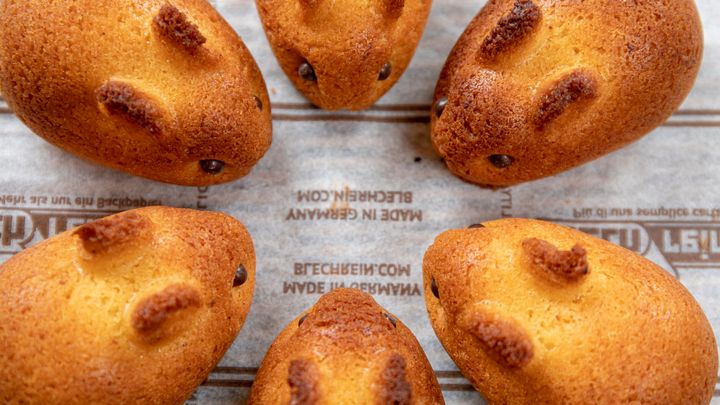 写真家のsigh氏（＠sigh21）撮影