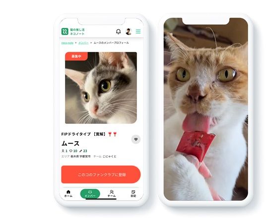 猫の推し活「ネコノート」リニューアル！保護猫の「親」として成長を見守る新機能搭載