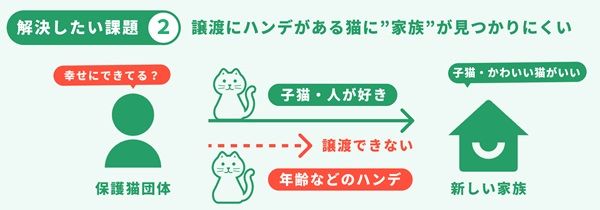 猫の推し活「ネコノート」リニューアル！保護猫の「親」として成長を見守る新機能搭載