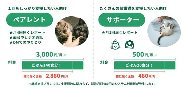 猫の推し活「ネコノート」リニューアル！保護猫の「親」として成長を見守る新機能搭載