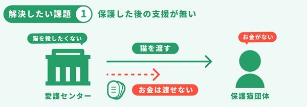 猫の推し活「ネコノート」リニューアル！保護猫の「親」として成長を見守る新機能搭載