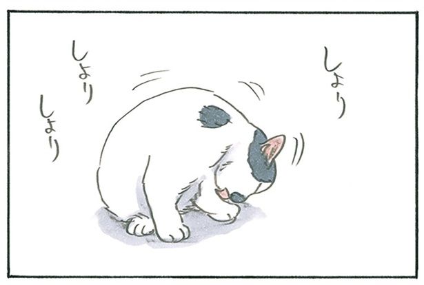 一生懸命毛づくろい （C）にごたろ／KADOKAWA