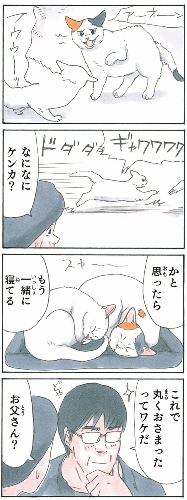  ケンカ？ （C）にごたろ／KADOKAWA