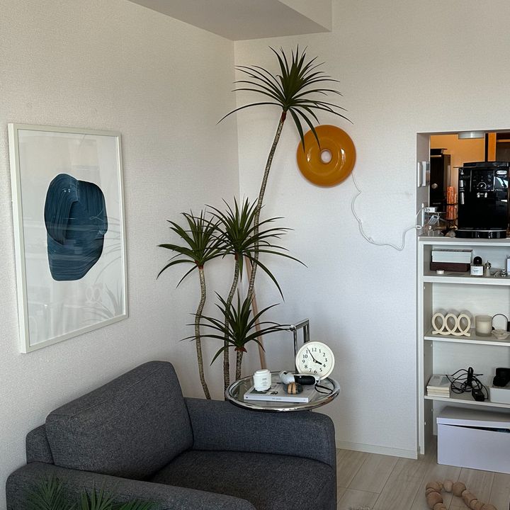 1LDKをワンランク上の空間に。おすすめインテリア3選