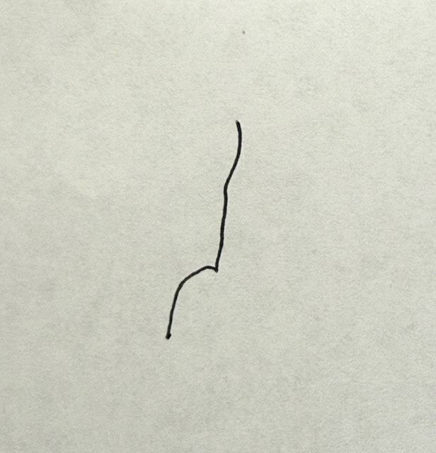 このイラストは何に見えますか？