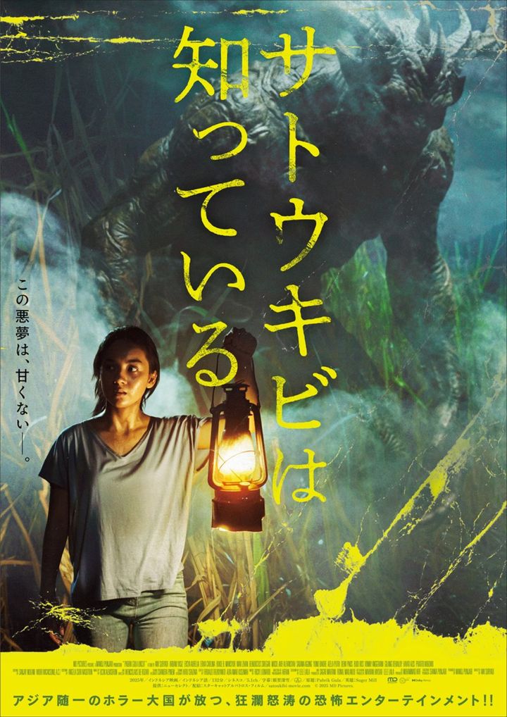 映画『サトウキビは知っている』ポスター （C）2025 MD Pictures width=