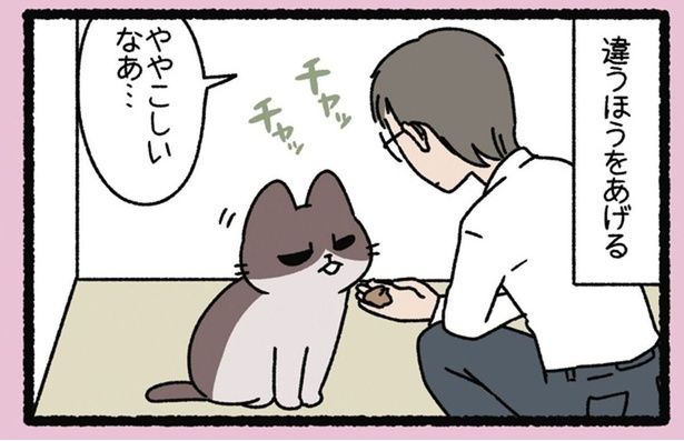 飼い主は完全攻略？ ややこしいけどわかりやすい「あまのじゃく」の行動 （C）ぱんだにあ／竹書房