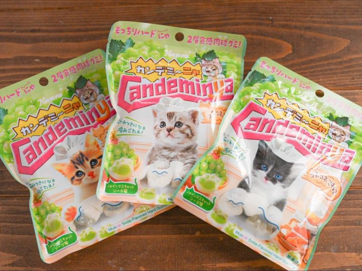 猫好き必見！数量限定「猫の日」にちなんだグミがかわいすぎる！