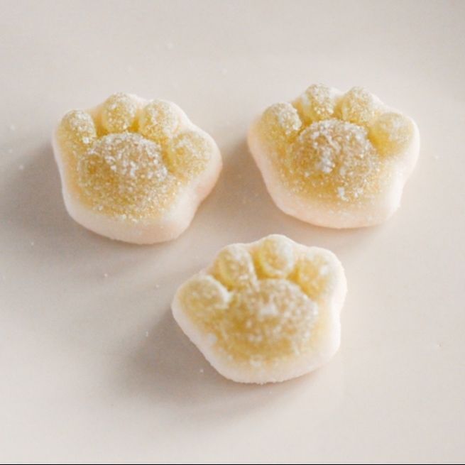 猫好き必見！数量限定「猫の日」にちなんだグミがかわいすぎる！