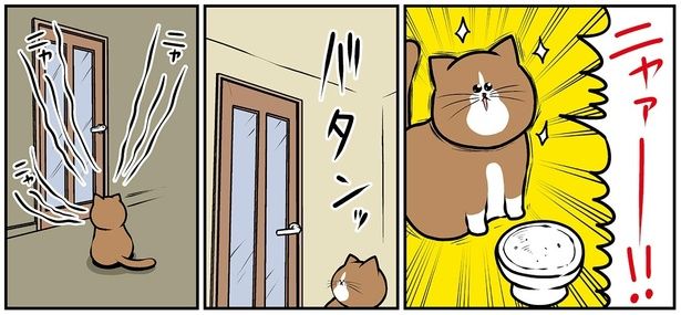 ニャァー！！ （C）鴻池剛／KADOKAWA