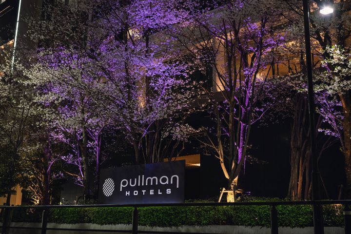 桜のライトアップ