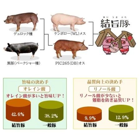 【岐阜県岐阜市】「飛騨牛」と銘柄豚「結旨豚」を手軽に味わえる！だるまミートの冷凍総菜が発売中