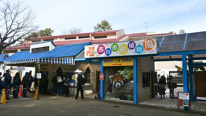 大注目のパンチくんがいる市川市動植物園。週末の混雑が予想されるなか、emogram編集部では市川市動植物園が推奨する「北総鉄道・大町駅からの徒歩ルート」を実際に歩き、こちらにまとめました。