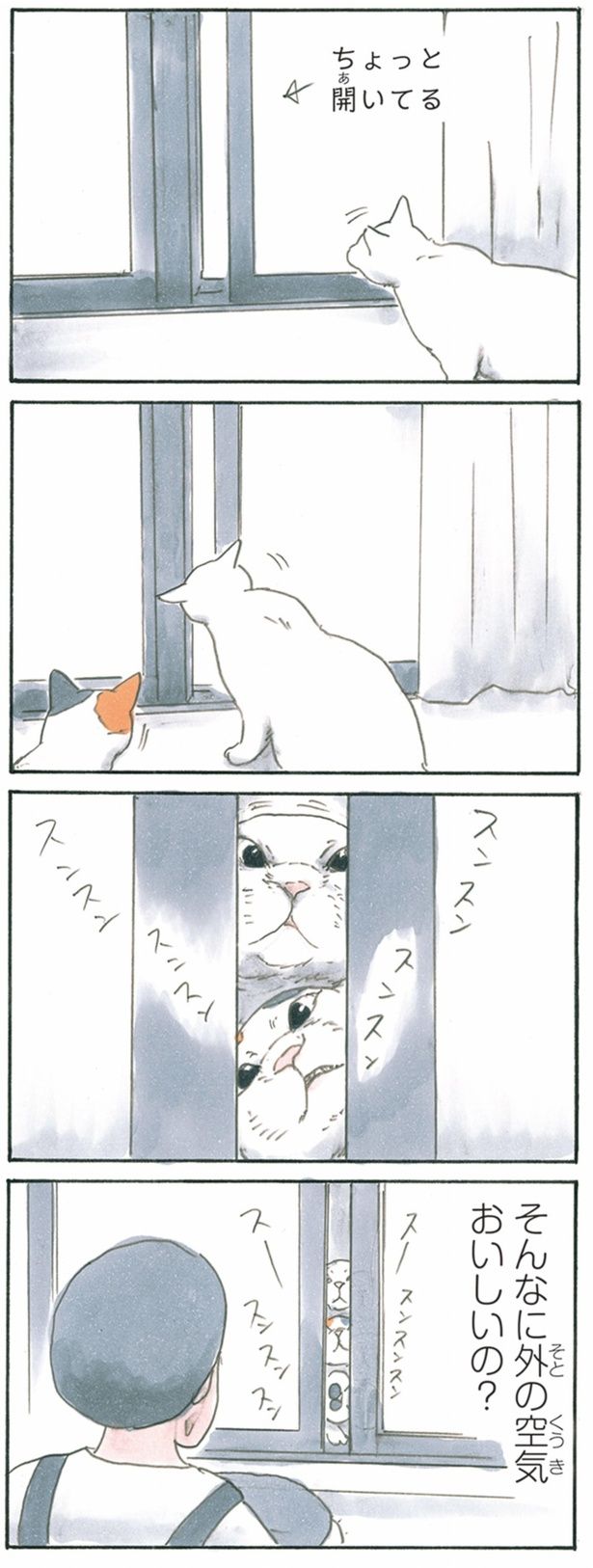 おいしいの？ （C）にごたろ／KADOKAWA