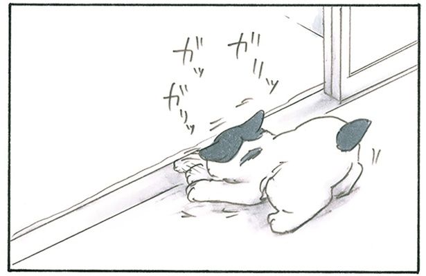 真剣にホリホリ （C）にごたろ／KADOKAWA