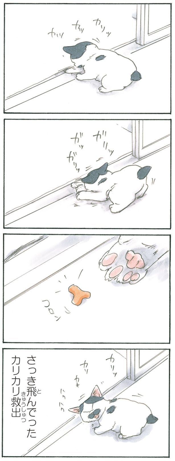 コロン （C）にごたろ／KADOKAWA