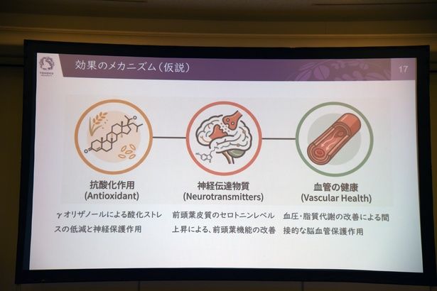 瀧靖之教授が提示する、玄米によって得られる効果のメカニズム(仮説) 撮影：ソムタム田井