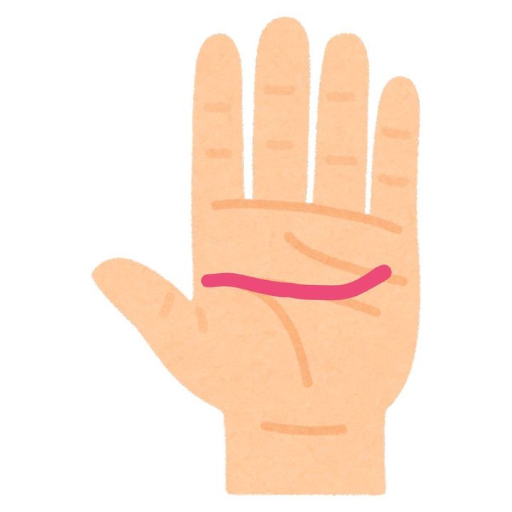 上向きの知能線