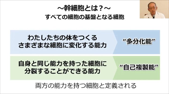 幹細胞の多分化能と自己複製能を説明する講義スライド