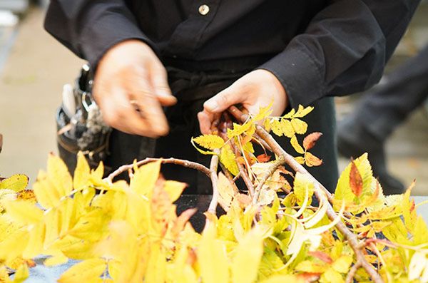 宮内庁御用達の「青山花茂本店」本物の花体験ができる「季節の枝もの定期便」を開始