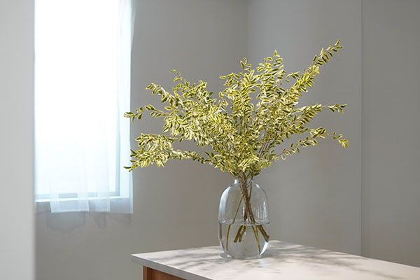 宮内庁御用達の「青山花茂本店」本物の花体験ができる「季節の枝もの定期便」を開始