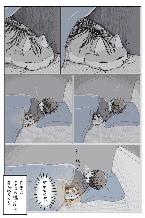 02 画像提供：キュルZ@kyuryuZ