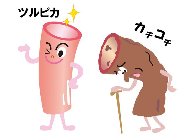 元気な血管と弱った血管