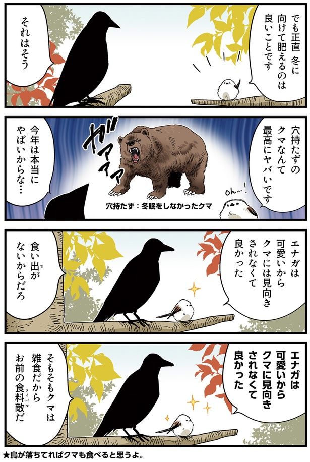 クマに見向きされなくて良かった （C）青春／KADOKAWA