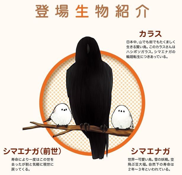 登場生物紹介 （C）青春／KADOKAWA