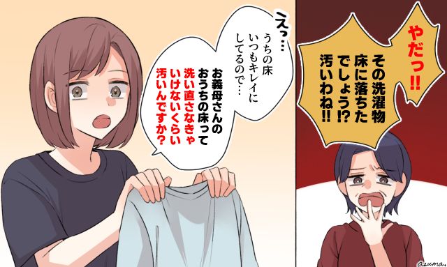 「お義母さんの家の床ってそんなに汚いんですか？」潔癖な姑を黙らせた嫁の冷静すぎる一言