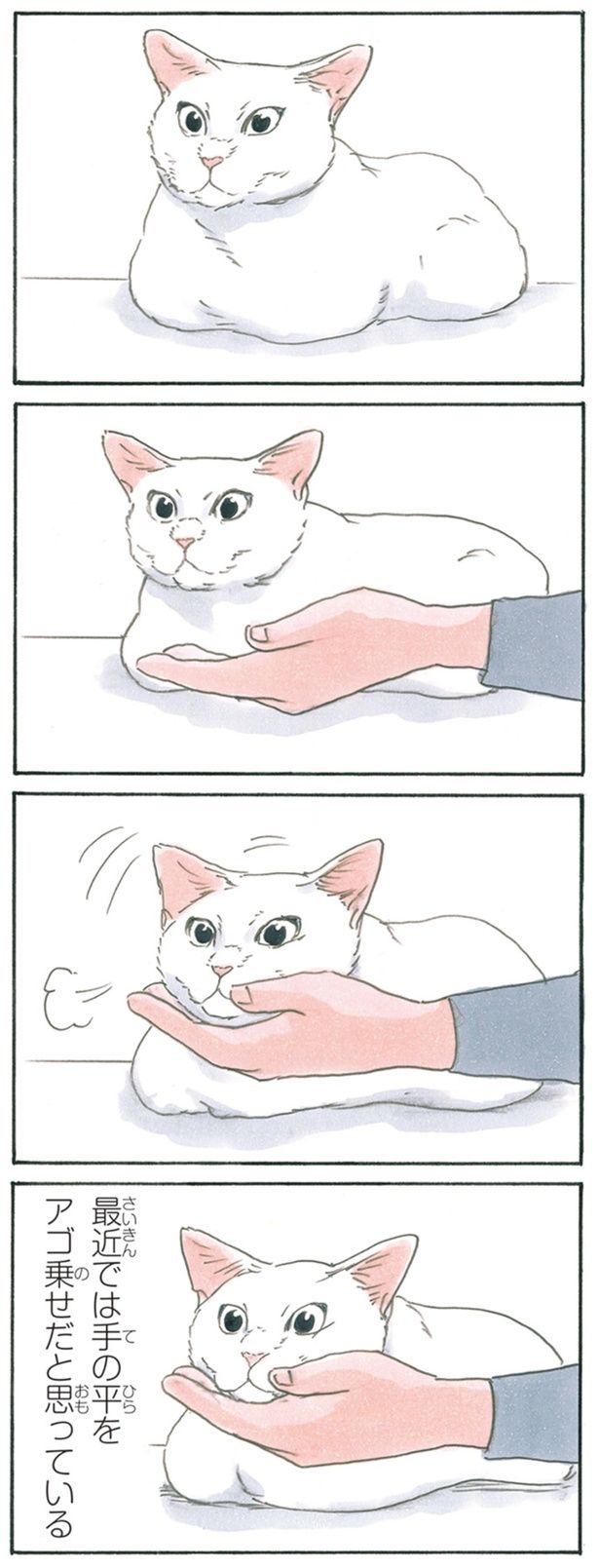 ぽふっ （C）にごたろ／KADOKAWA