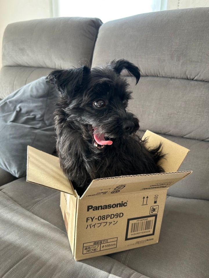 STANFORD所属のモデル・木村航志の好きなもの①飼い犬のクロ