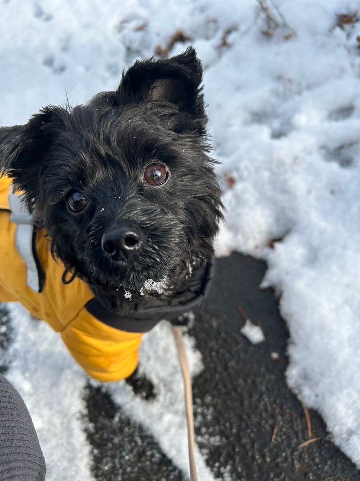 STANFORD所属のモデル・木村航志の好きなもの①飼い犬のクロ