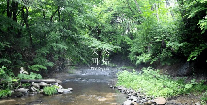 清流と深い森の風景に天然回帰と書かれたコンセプトビジュアル