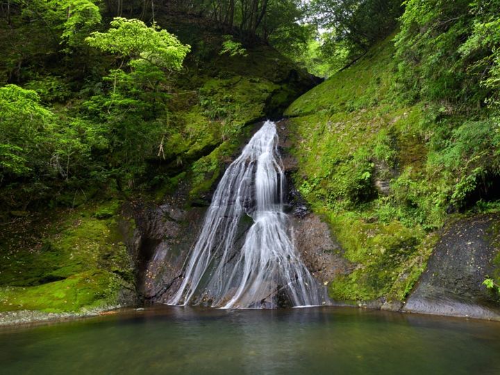 All About ニュース編集部が全国250人を対象に実施した「滝に関するアンケート」の調査結果から、冬に行きたい「和歌山県の滝」ランキングを発表！ 2位「請川のお滝さん」を抑えた1位は？