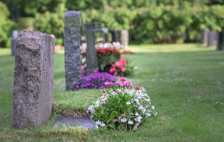 Photo_ EVA KONGSHAVN 2024/ Getty Images