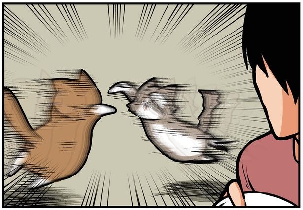 ゴング （C）鴻池剛／KADOKAWA