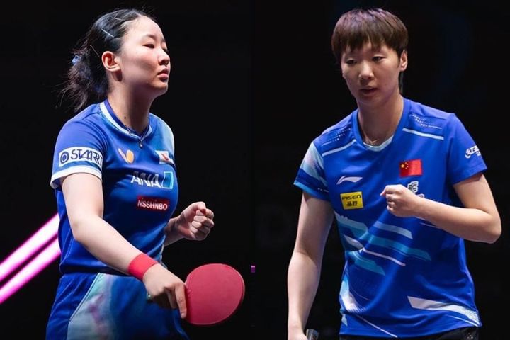 張本美和、王曼昱（C）WTT