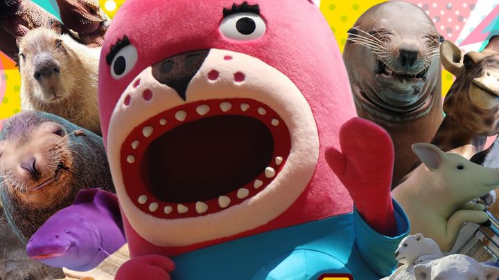 桂浜水族館公式Xより