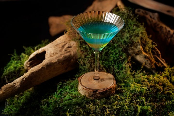 野鳥をイメージしたストーリーカクテル
