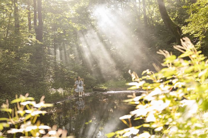 黄昏の森でのバードコンサート