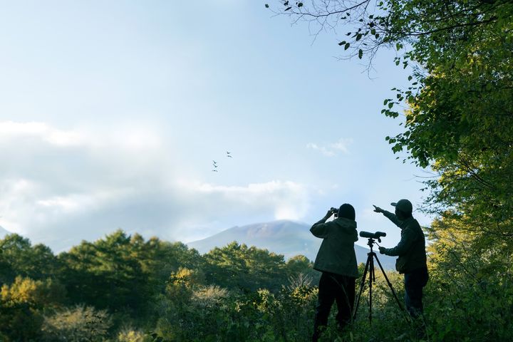 国設「軽井沢野鳥の森」でのバードウォッチング 