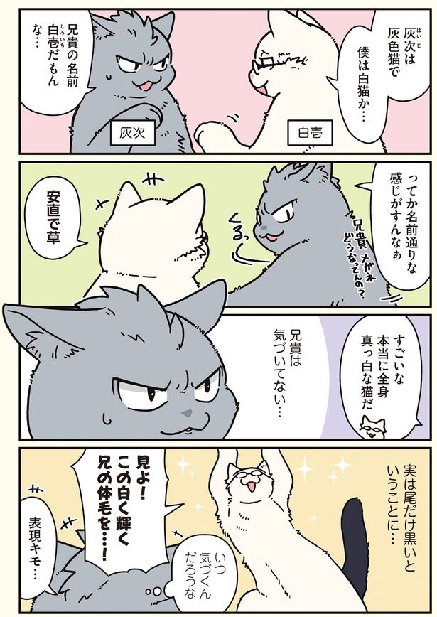 兄貴は気づいてない… （C）清水めりぃ／KADOKAWA