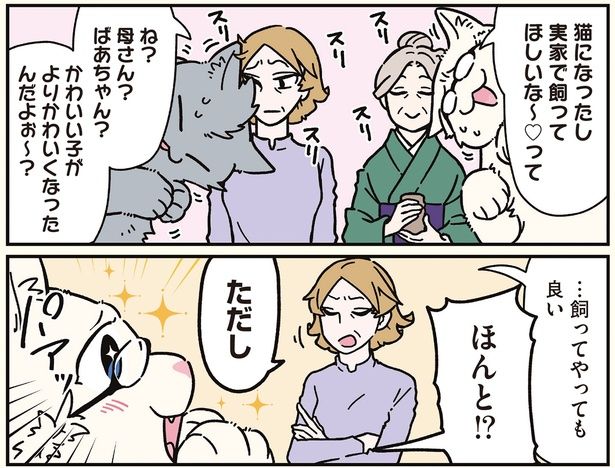 飼ってやってもいい （C）清水めりぃ／KADOKAWA