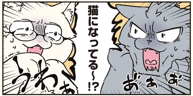 猫になってる～!? （C）清水めりぃ／KADOKAWA