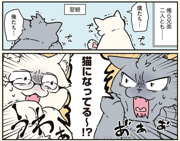 俺ら兄弟二人とも… （C）清水めりぃ／KADOKAWA