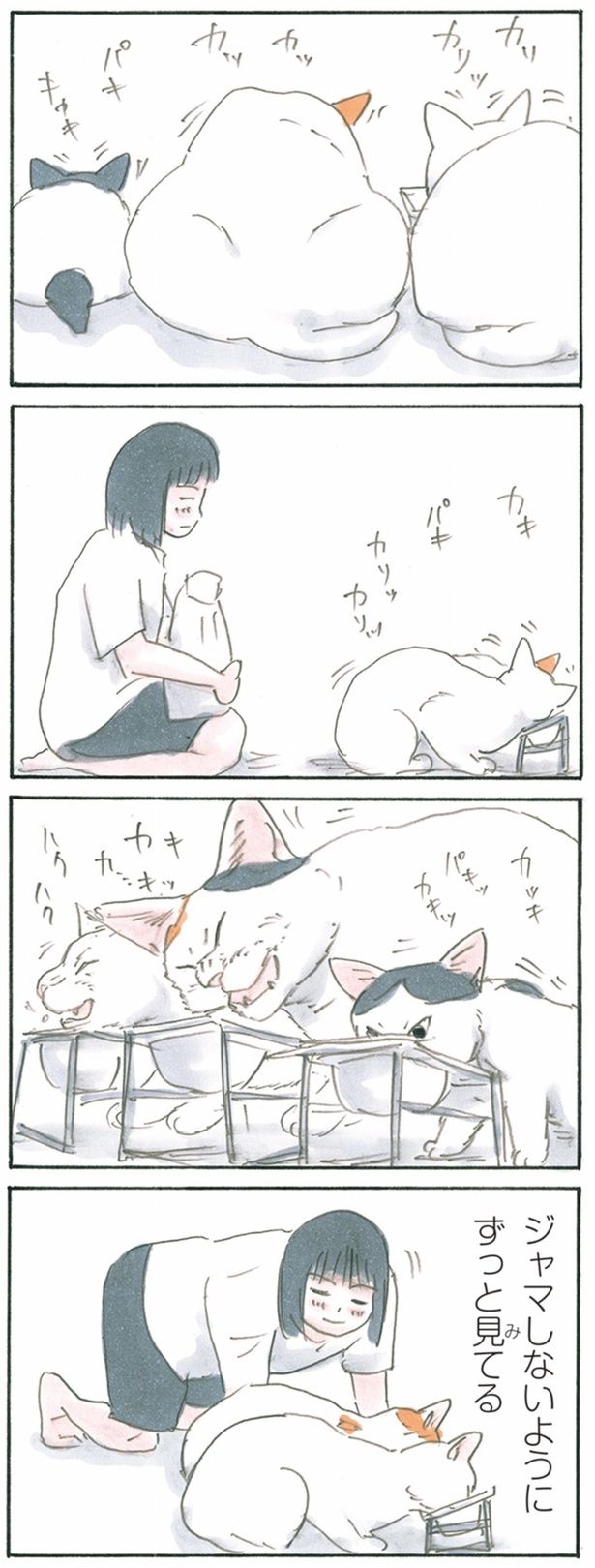 ずっと見てる （C）にごたろ／KADOKAWA