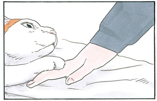 引きとめられて （C）にごたろ／KADOKAWA